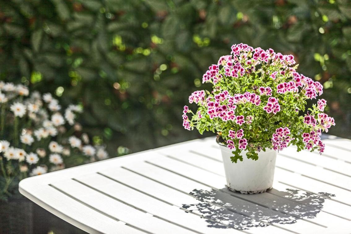 칼리아리 Garden Sant'Avendrace 빌라 외부 사진